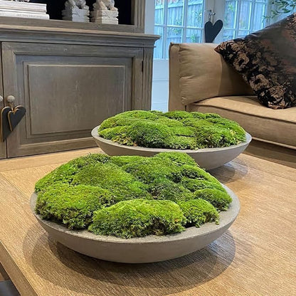 FAICOIA Preserved Moss Bulk Green Natural Preserved Pole Moss Pillow for Potted Plants 2.5 sq.ft Green Moss Balls for Bowls Wall Art Terrariums Crafts Fairy Gardens Easter Table Decor