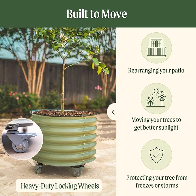 Rolling Metal Citrus Tree Planter, Self-Watering Round Large Pot for Growing Trees Tomatoes Vegetables and Flowers, Raised Garden Bed with Wheels for Porch Patio & Backyard, Single Pack-Pearl White