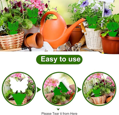 Fruit Fly Traps, 60 Pack Green Stick Traps, Fungus Gnat Traps, Plant Fly Stickers for Indoor and Outdoor Use Protect The Plant