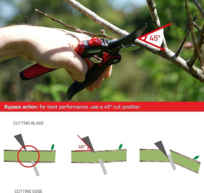 Eden 39001 Professional Sharp Bypass Pruning Shears, Tree Trimmers Secateurs,Hand Pruner, Garden Shears,Clippers For Garden, Bonsai Cutters