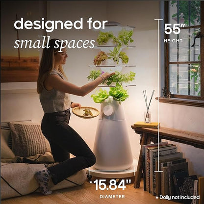 Farmstand Nook 4ft.7” Vertical Hydroponic Garden Tower - Self-Watering, Vertical Hydroponic Tower with LED Grow Lights, 20 Live Seedlings, Smart Timer - Indoor Vertical Growing Tower
