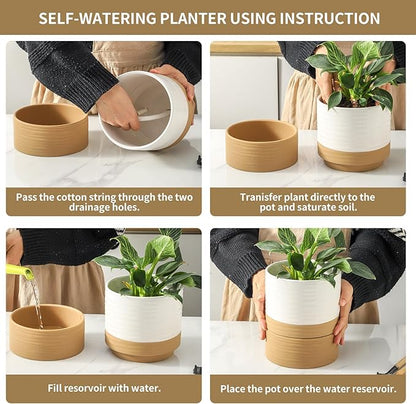 HASENSE Self Watering Plant Pot, 6 Inch Porcelain Planter with Drainage Hole and Saucers for Indoor & Outdoor Plants, Round Flower Pots for Houserwarming Gift, White