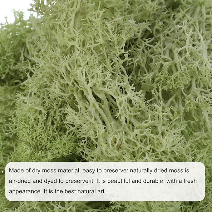 MECCANIXITY 3.5 OZ Moss Fake Craft Moss Artificial Moss Natural Preserved Moss for Craft Arts Floral DIY Project Wall Wedding Garden Patio Table Terrariums Decoration(Light Yellow Green)