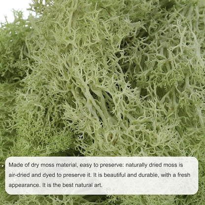 MECCANIXITY 3.5 OZ Moss Fake Craft Moss Artificial Moss Natural Preserved Moss for Craft Arts Floral DIY Project Wall Wedding Garden Patio Table Terrariums Decoration(Light Yellow Green)