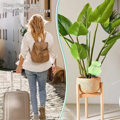 3Pcs Frog Plant Self Watering Globes for Indoor and Outdoor Plastic Water Bulbs Top Fill Plant Watering Globes Slow Release Terracotta Plant Watering Devices System for Plants, Multicolor