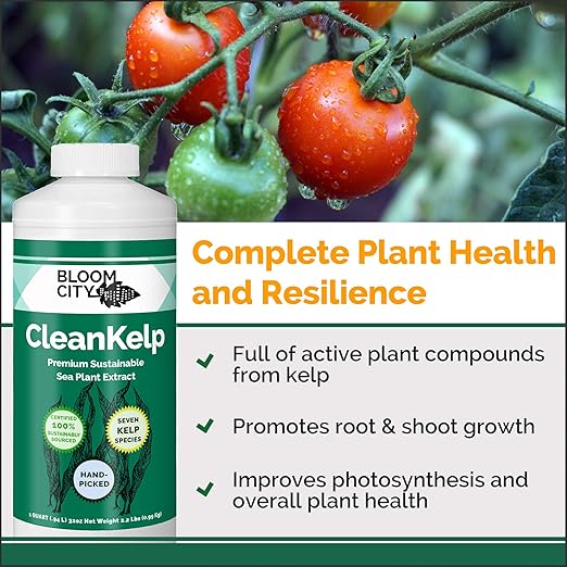 Bloom City Organic Liquid Seaweed and Kelp Fertilizer Supplement, Quart (32 oz) Concentrated Makes 180 Gallons