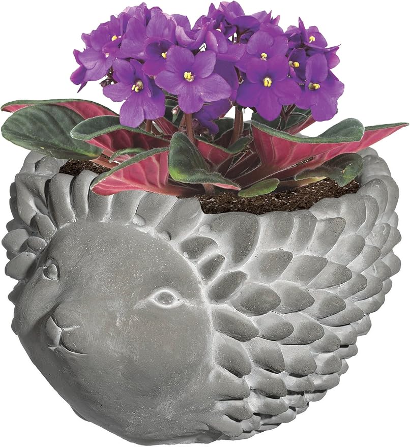 Classic Home and Garden Cement Buddies Animal Planter - Cute Desk Decoration - UV Coated Animal Vase w/Removable Drain Plug - Succulent Planter for Indoor/Outdoor Use (Hedgehog, Natural, Small)