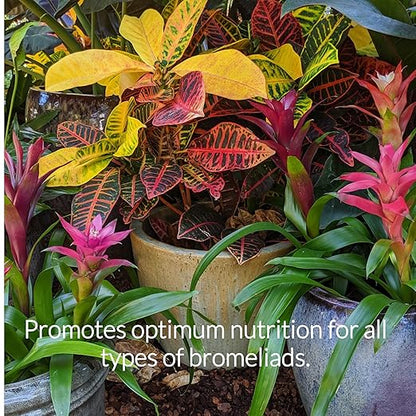 Professional Bromeliad Spray Fertilizer Mist | Pre Mixed for Weekly Use | Gentle Blend & Gardening Supplies | 8 oz Bottle