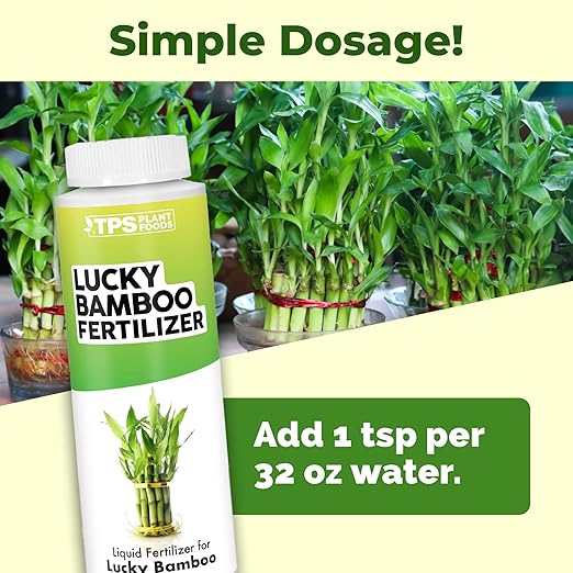 Lucky Bamboo Fertilizer, Complete Liquid Lucky Bamboo Plant Food, 8 oz (250mL)