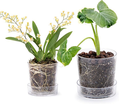 Phoenix Vine 3.5 Inch 4.5 Inch Clear Acrylic Houseplants Planter Pot with Tray, Orchid Pot with Drainage Holes, Deep Saucer for Bottom Watering, Transparent Containers for Indoor Plants, Herbs, 91-B-V