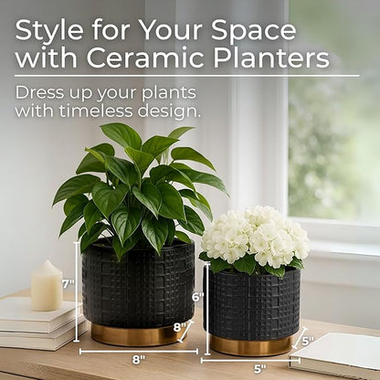 Set of 2 Mesh Metallic Decorative Planter Pot with Gold Accents – Ceramic Stoneware Outdoor & Indoor Plant Pot – Modern Garden & Home Decor Planters – 6" & 7", Black