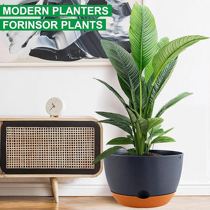 3 Pack Self Watering Planters for Plants Indoor,10 Inch Plant Pot Outdoor Plastic Flower Pot with Drainage and Saucers(Grey)