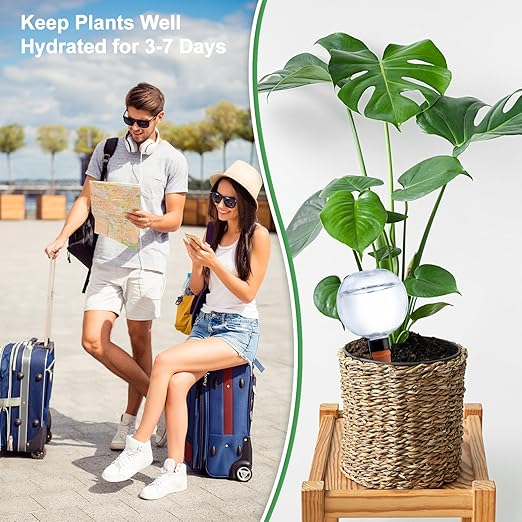2 Pack Plant Watering Globes 17oz Self Watering Planter Insert Indoor/Outdoor Plant Watering Devices for Automatic Drip Irrigation