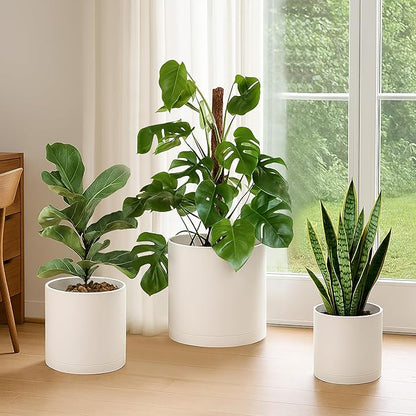 D'vine Dev 8 Inch 10 Inch 12 Inch, Set of 3 Plastic Planter Pots for Plants with Drainage Hole and Seamless Saucers, Oatmeal, X-Large, 74-V-H-5