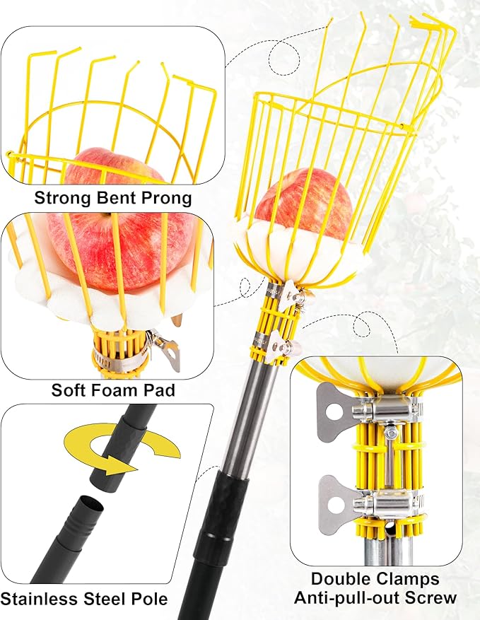 6.5FT Fruit Picker, Apple Picker Tool with Adjustable Pole and Basket, Long Reach Mango Grabber Tool, Tree Fruit Catcher for Picking Lemon Pear Orange Avocado Peach Citrus
