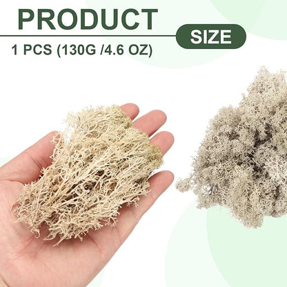MECCANIXITY 4.6oz Preserved Reindeer Moss, Brown Decorative Artificial Fake Moss for Potted Plants Indoor Crafts Lichen Centerpieces Decor