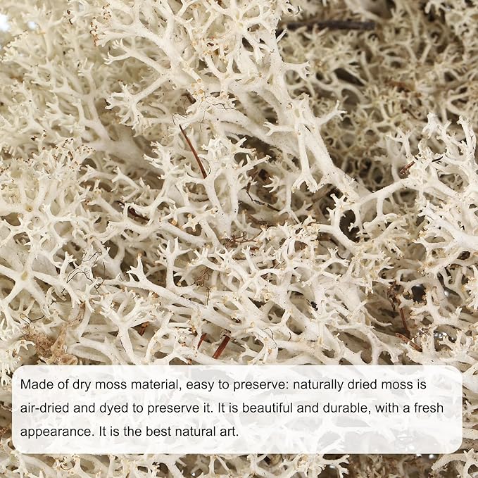 MECCANIXITY 3.5 OZ Moss Fake Craft Moss Artificial Moss Natural Preserved Moss for Craft Arts Floral DIY Project Wall Wedding Garden Patio Table Terrariums Decoration(Natural Colour)