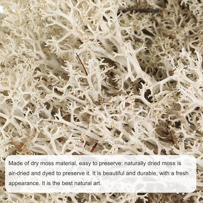 MECCANIXITY 3.5 OZ Moss Fake Craft Moss Artificial Moss Natural Preserved Moss for Craft Arts Floral DIY Project Wall Wedding Garden Patio Table Terrariums Decoration(Natural Colour)