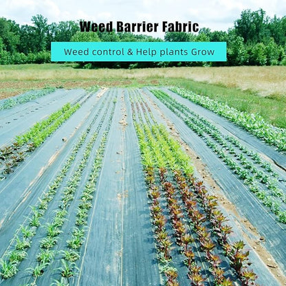 PioneerWorks 6ft X 300ft Weed Barrier Landscape Fabric Heavy Duty, Premium 3.2 oz Ground Cover Weed Block Gardening Mat, Easy Setup & Superior Weed Control, for Erosion Control, Weed Barrier