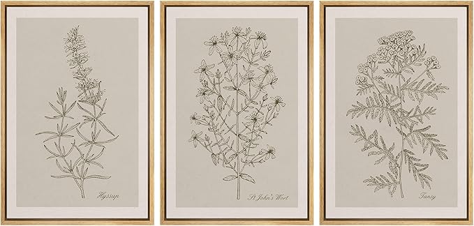 Ashbrook Framed Canvas Print Wall Art Set Duotone Vintage Flowers Nature Wilderness Illustrations Modern Art Decorative Floral Botanical Minimal Calm/Relax/Cozy for Bedroom - 16"x24"x3 NATURAL