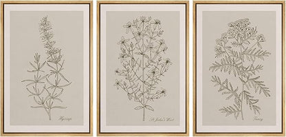 Ashbrook Framed Canvas Print Wall Art Set Duotone Vintage Flowers Nature Wilderness Illustrations Modern Art Decorative Floral Botanical Minimal Calm/Relax/Cozy for Bedroom - 16"x24"x3 NATURAL