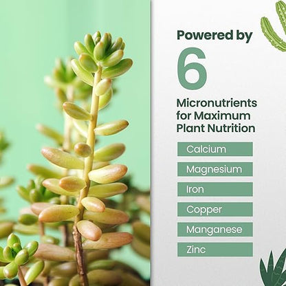 16oz Succulent Fertilizer - Makes 32 Gallons of Succulent Plant Food for Succulents Plants Live, Liquid Fertilizer for Succulents - Promotes Vibrant Leaves, Resilient Roots, and Plump Growth