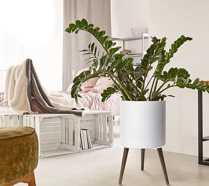 D'vine Dev 14 Inch Planter Pot with Stand, Mid-Century Tall Plant Pot with Legs for Indoor Plants, X-Large, White, 88-O-D-1