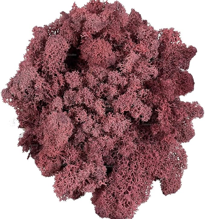 Moss Preserved Artificial Moss - Natural Fresh Green for Craft, Arts, Floral Projects, Wall & Table Decor, Wedding Centerpieces, Garden Terrariums - Dark Pink, 3.5OZ