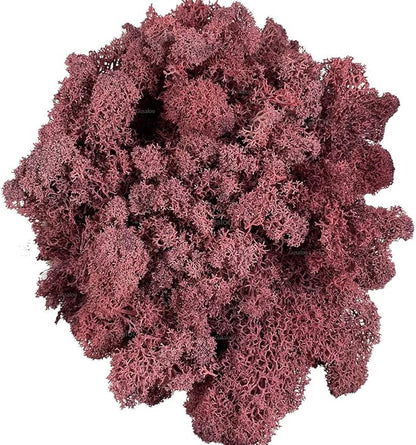 Moss Preserved Artificial Moss - Natural Fresh Green for Craft, Arts, Floral Projects, Wall & Table Decor, Wedding Centerpieces, Garden Terrariums - Dark Pink, 3.5OZ