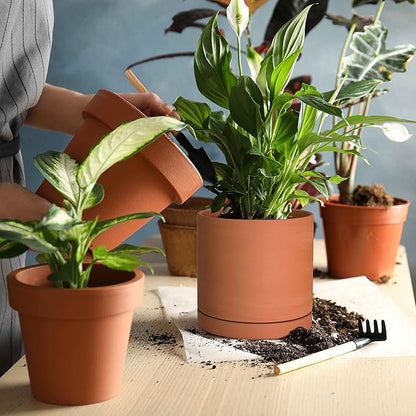 D'vine Dev Small 6 Inch Terracotta Plant Pot with Drainage Hole and Saucer, Round Cylinder Planter Pot for Indoor Plants, 40-X-A-3