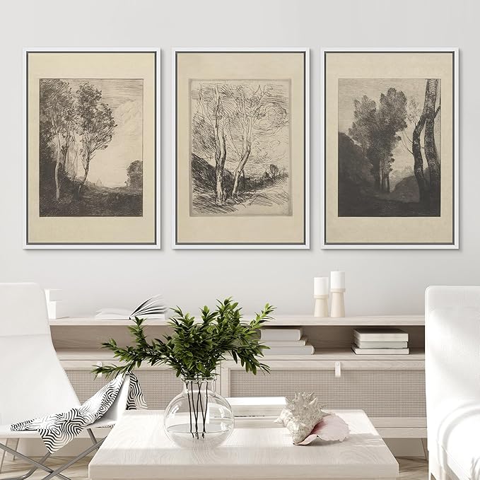 Ashbrook Framed Canvas Print Wall Art Set Fine Art Country Farmhouse Decor Landscapes Duotone Nature Wilderness Illustrations Floral Botanical Calm/Relax/Cozy for Bedroom - 16"x24"x3 WHITE