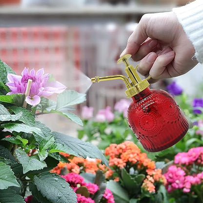 Glass Plant Mister Spray Bottle, 230ML Vintage Plant Spritzer, Succulent Watering Bottle Glass with Top Pump, Small Plants Sprayer Watering Can for Indoor Outdoor House(Red)