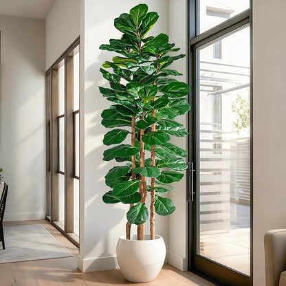 Artificial Fiddle Leaf Fig Tree 6FT, Faux Fig Tree Indoor with Natural Wood Trunk & Realistic Leaves with Moss Pot Fake Ficus Tree Large Faux Floor Plant for Living Room Home Decor, House Plant