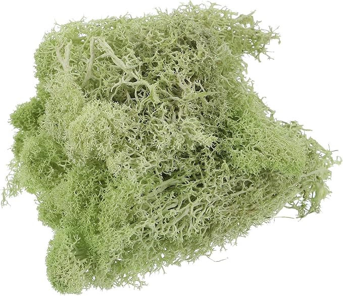 MECCANIXITY 3.5 OZ Moss Fake Craft Moss Artificial Moss Natural Preserved Moss for Craft Arts Floral DIY Project Wall Wedding Garden Patio Table Terrariums Decoration(Light Yellow Green)