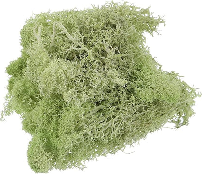 MECCANIXITY 3.5 OZ Moss Fake Craft Moss Artificial Moss Natural Preserved Moss for Craft Arts Floral DIY Project Wall Wedding Garden Patio Table Terrariums Decoration(Light Yellow Green)