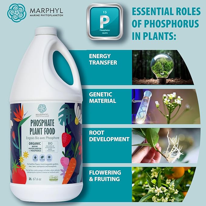 MARPHYL Organic Liquid Phosphate Soil Enhancer. Phosphorus Fertilizer for Garden, Flowers, Vegetables, Succulents, Bamboo, Hydroponics 1.05 gal