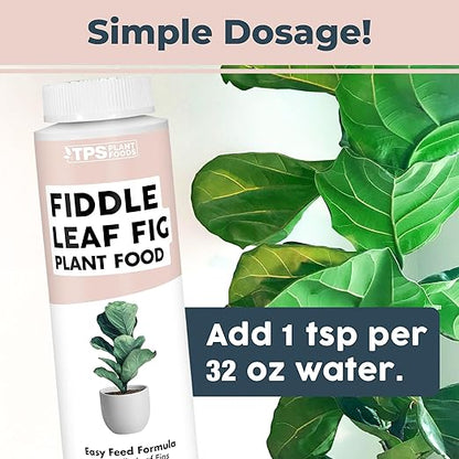 Fiddle Leaf Fig Plant Food for All Fig and Other Ficus Trees, Liquid Houseplant Fertilizer 8 oz (250mL)