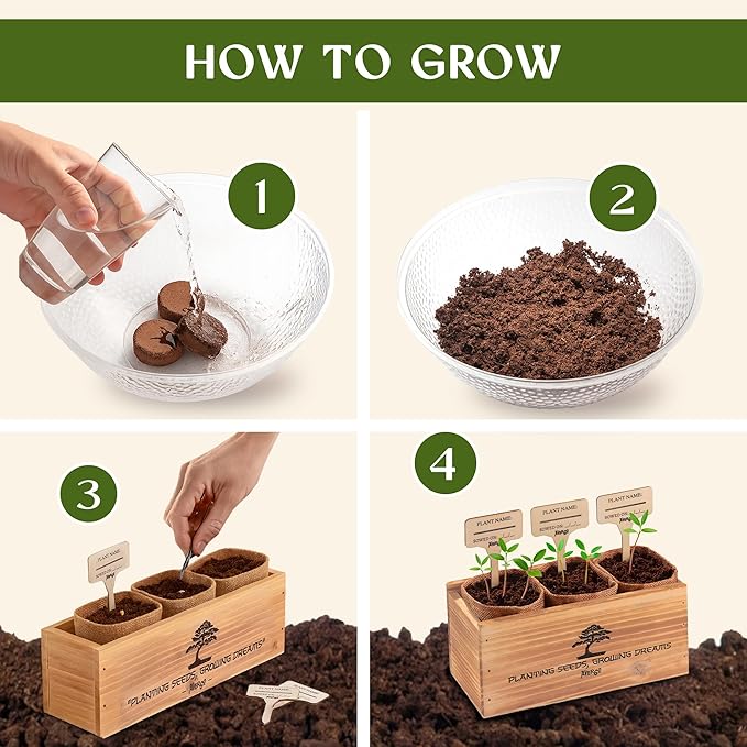 Avergo Bonsai Tree Kit – 3X Unique Japanese Bonzai Trees | Complete Indoor Starter Kit for Growing Bonsai Plants with Tools & Planters – Gardening Gifts for Women & Men