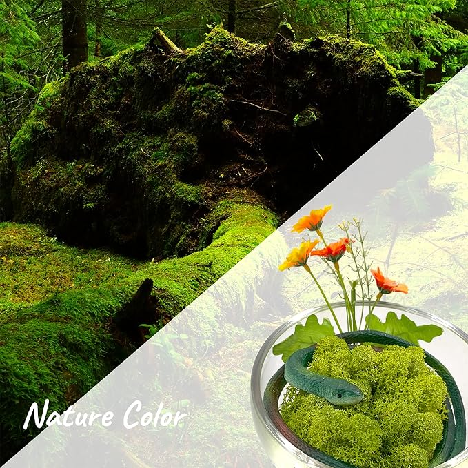 Moss Preserved Artificial Moss 8.8oz Natural Fresh Green Moss for Craft Arts Floral Project Wall Decor Table Decor Wedding Centerpieces Garden Terrariums Decoration Chartreuse