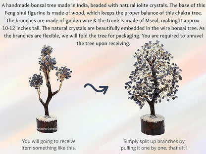 Iolite Natural Healing Premium Crystal Bonsai Feng Shui Fortune Money Tree of Life for Home Office Decor (Gift Box Ready,10-12 Inch)