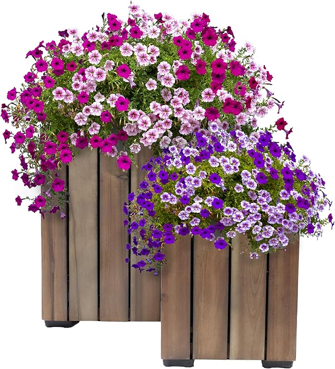 Sunnydaze Indoor/Outdoor Wooden Planter Boxes - 2 Acacia Wood Square Plant Pots with Plastic Liners - Anthracite Stain