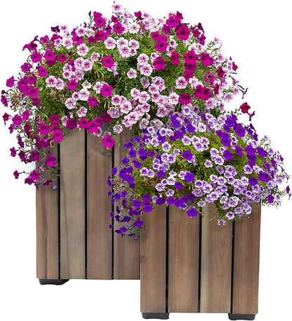 Sunnydaze Indoor/Outdoor Wooden Planter Boxes - 2 Acacia Wood Square Plant Pots with Plastic Liners - Anthracite Stain