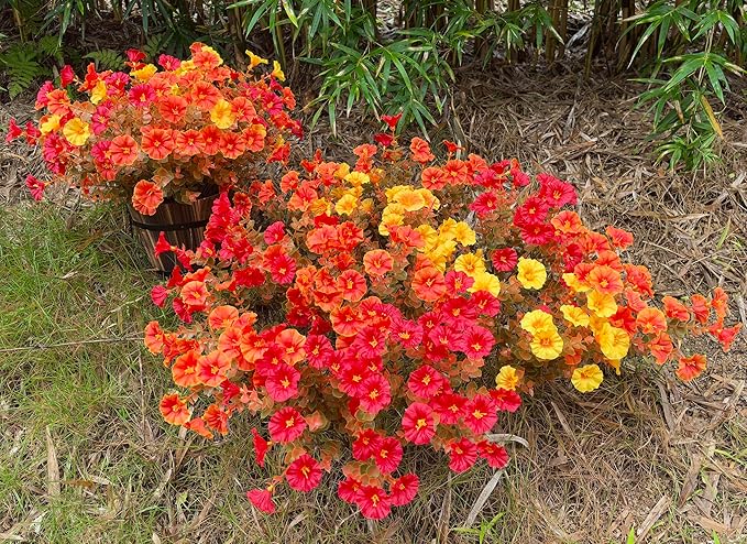 Artificial Fake Mums Fall Flowers for Outdoor Decorations, 12 Bundles Fake Flowers Artificial Plants Outdoor UV Resistant Plastic Faux Silk Flowers for Porch Planters Patio Garden