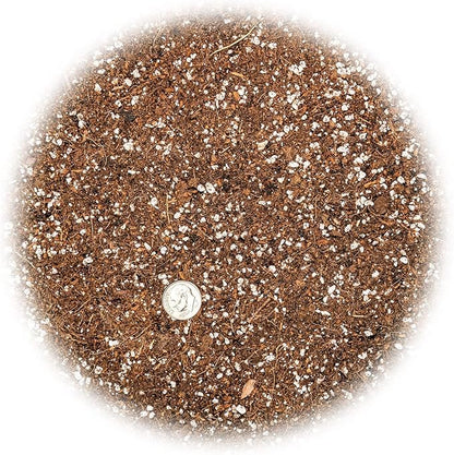 Gardenera Professional Carnivorous Plant Soil - Ready to Use for Venus Flytraps, Sundews, Pitcher Plants, Butterworts | Peat Moss, Coco Coir, Perlite - 1 Quart Bag