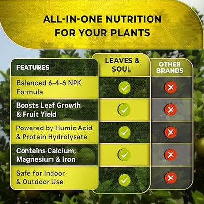 Leaves and Soul Professional Lemon Tree Fertilizer Liquid Concentrate - 6-4-6 Blend for Fruit Tree Fertilizer, Garden - Liquid Plant Food for Lemon Trees in Pots or Outdoors - 8oz