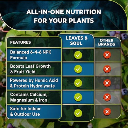 Leaves and Soul Professional Blueberry Fertilizer Liquid Concentrate - 6-4-6 Blend Liquid Garden Fertilizer for Blueberries - Plant Food for Blueberry Bushes and Plants - 8oz