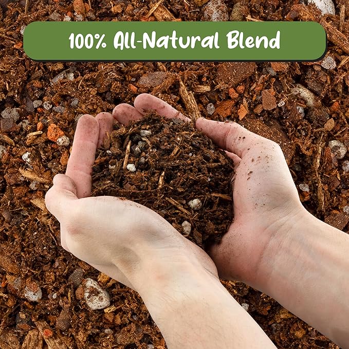 Soil Sunrise Cactus and Succulent Potting Mix (8 Quarts) Special Blend-Fast Draining and Desert-Style Gritty