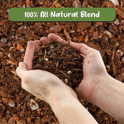 Soil Sunrise Cactus and Succulent Potting Mix (8 Quarts) Special Blend-Fast Draining and Desert-Style Gritty
