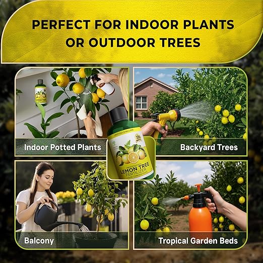 Leaves and Soul Professional Lemon Tree Fertilizer Liquid Concentrate - 6-4-6 Blend for Fruit Tree Fertilizer, Garden - Liquid Plant Food for Lemon Trees in Pots or Outdoors - 8oz