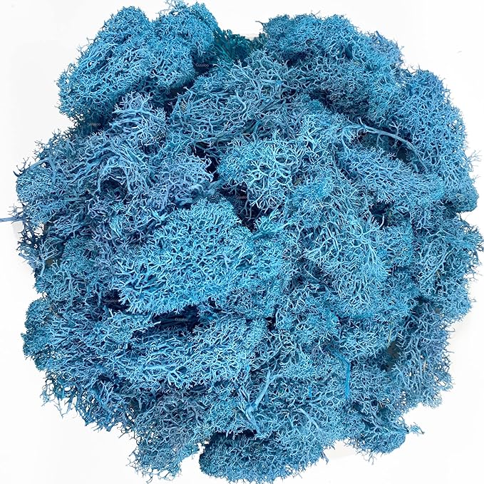Moss Preserved Moss - Natural Fresh Green for Craft, Arts, Floral Projects, Wall & Table Decor, Wedding Centerpieces, Garden, Terrariums - Sky Blue, 3.5OZ